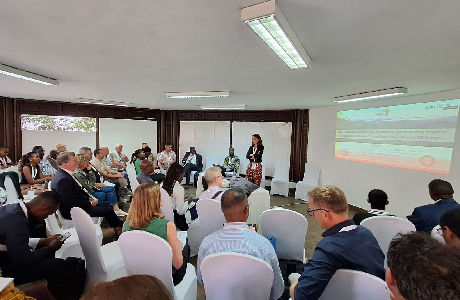 Camille Conference